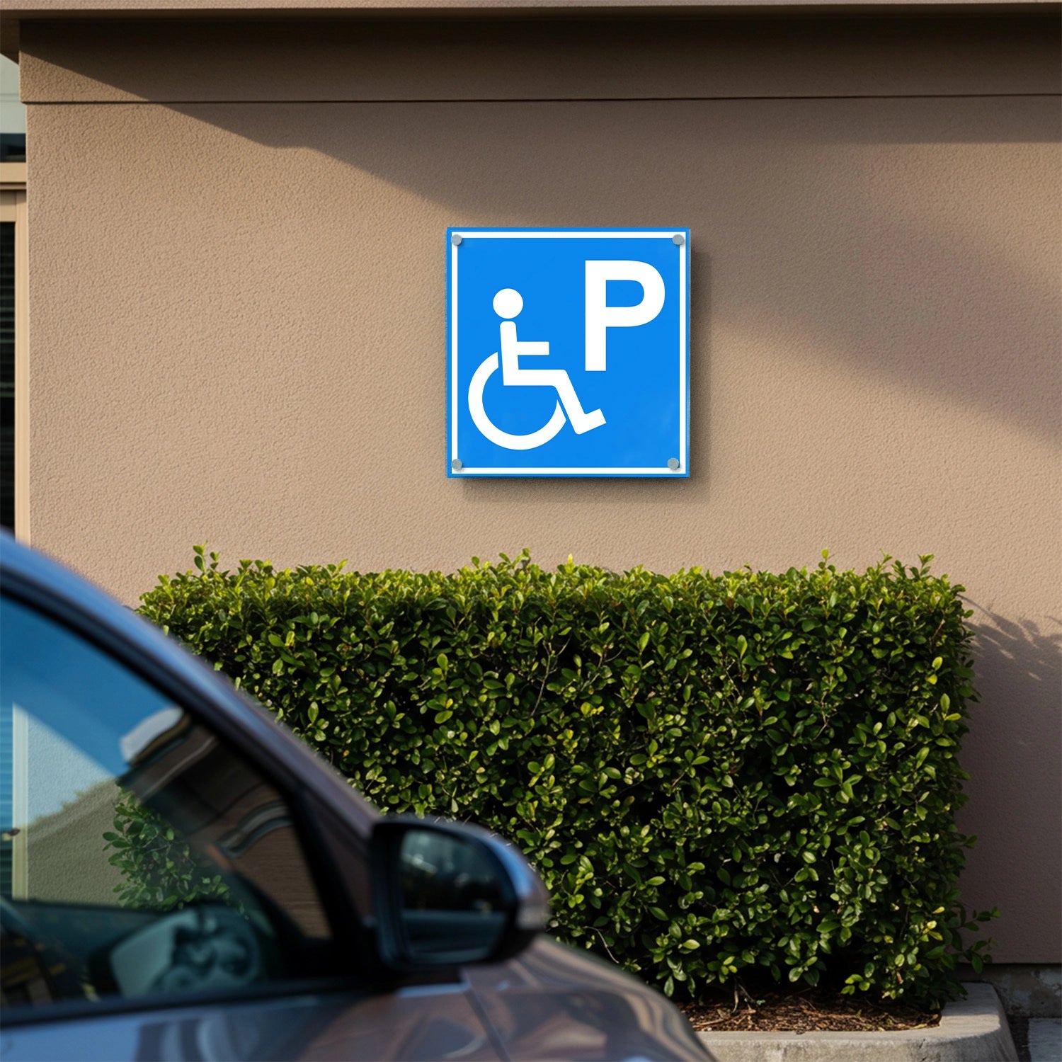 Handicap Parking Sign